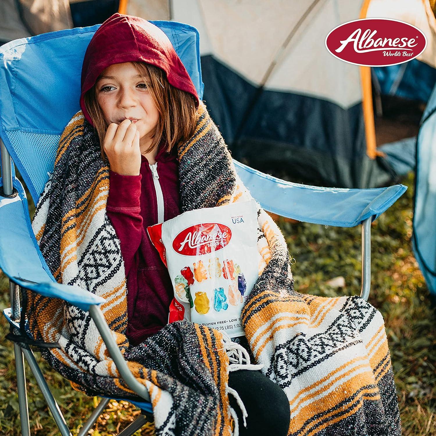 imageAlbanese Worlds Best 12 Flavor Gummi Bears 75oz Bag of Candy Pack of 12 Individually Wrapped Soft ampamp Chewy Candy Snacks Fruity Flavor Assortment12 Flavor Bears