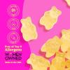 Albanese World’s Best 12 Flavor Gummi Bears | 5lbs of Candy | 12 Unique Flavors, Gluten Free, Fat Free, Soft and Chewy Gummy | Cherry, Blue Raspberry, Mango and More | Great Snack for Travel and Kids(Pineapple Bears)