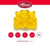Albanese World’s Best 12 Flavor Gummi Bears | 5lbs of Candy | 12 Unique Flavors, Gluten Free, Fat Free, Soft and Chewy Gummy | Cherry, Blue Raspberry, Mango and More | Great Snack for Travel and Kids(Mango Bears)