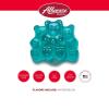 Albanese World’s Best 12 Flavor Gummi Bears | 5lbs of Candy | 12 Unique Flavors, Gluten Free, Fat Free, Soft and Chewy Gummy | Cherry, Blue Raspberry, Mango and More | Great Snack for Travel and Kids(Watermelon Bears)