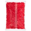 Albanese World’s Best Sour Gummi Poppers | 4.5lbs of Candy | 5 Super Sour Flavors, Gluten Free, Fat Free, Soft & Chewy Gummies | Blue Raspberry, Lemon, Orange and More | Perfect for Birthday Parties(Red Raspberry)